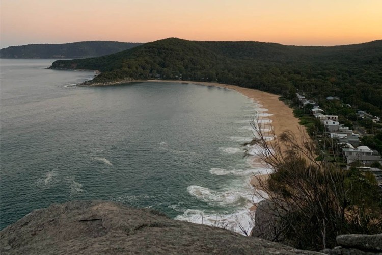 How did your suburb fare during the COVID-19 crisis? Main Image